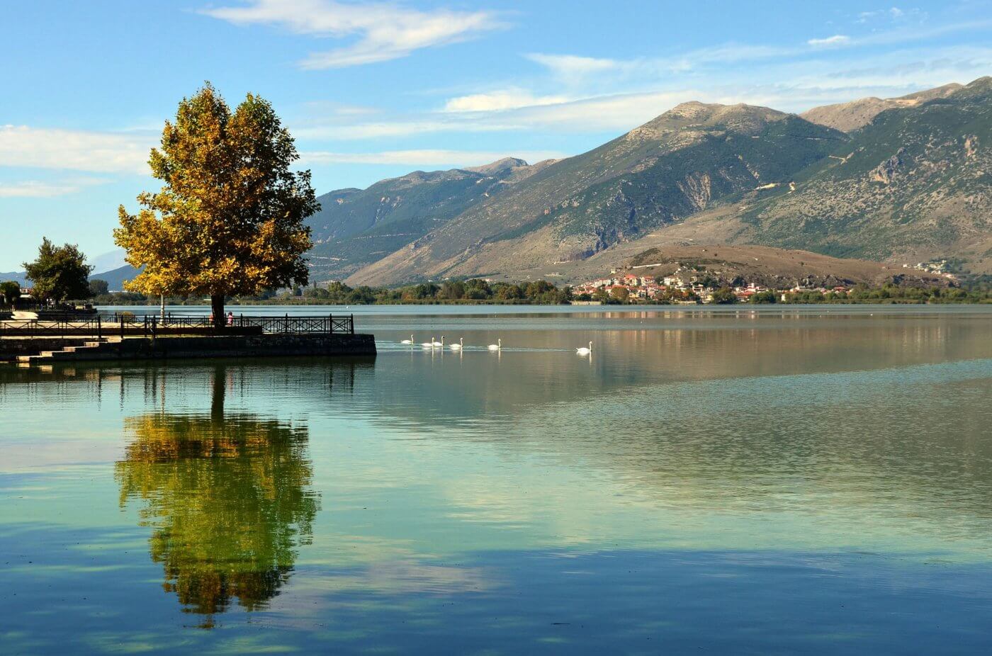 IOANNINA