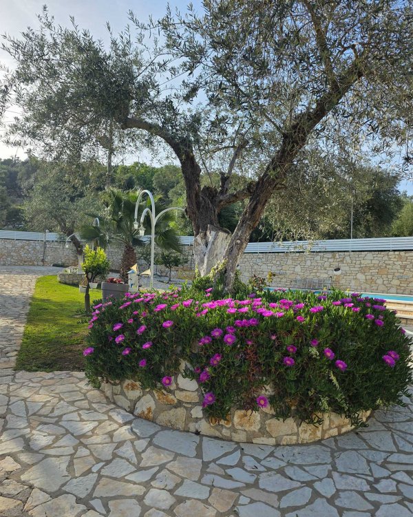 La Sirenetta apartments